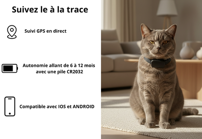 GPS cat collar — Never lose track of your cat again